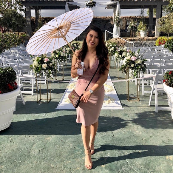 Windsor Lace Mauve Pink Midi Dress NWT - Picture 4 of 4